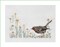 Thea Gouverneur Summer Robin Bird Counted Cross Stitch Kit – 16CT Aida, DMC Threads & Supplies Included, DIY Embroidery for Adults, 7.9×5.9 Inch
